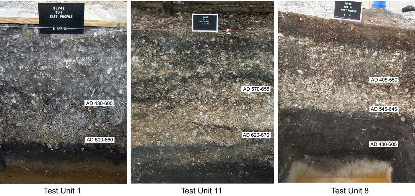 Stlt Shellmound Shell Mound Summer Solstice Feasts - Laboratory of Southeastern Archaeology